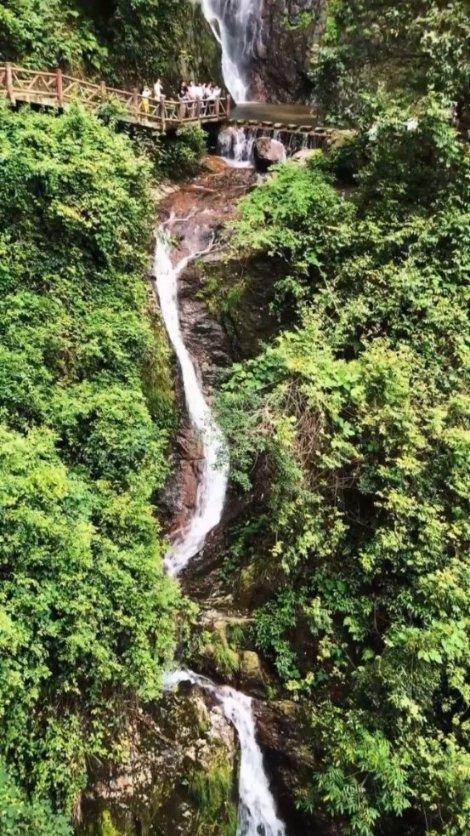 长江流域研学旅游联盟在汉成立， “守护美丽长江主题研学旅游活动”正式启动